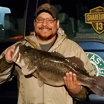 Summertime Bass Fishing